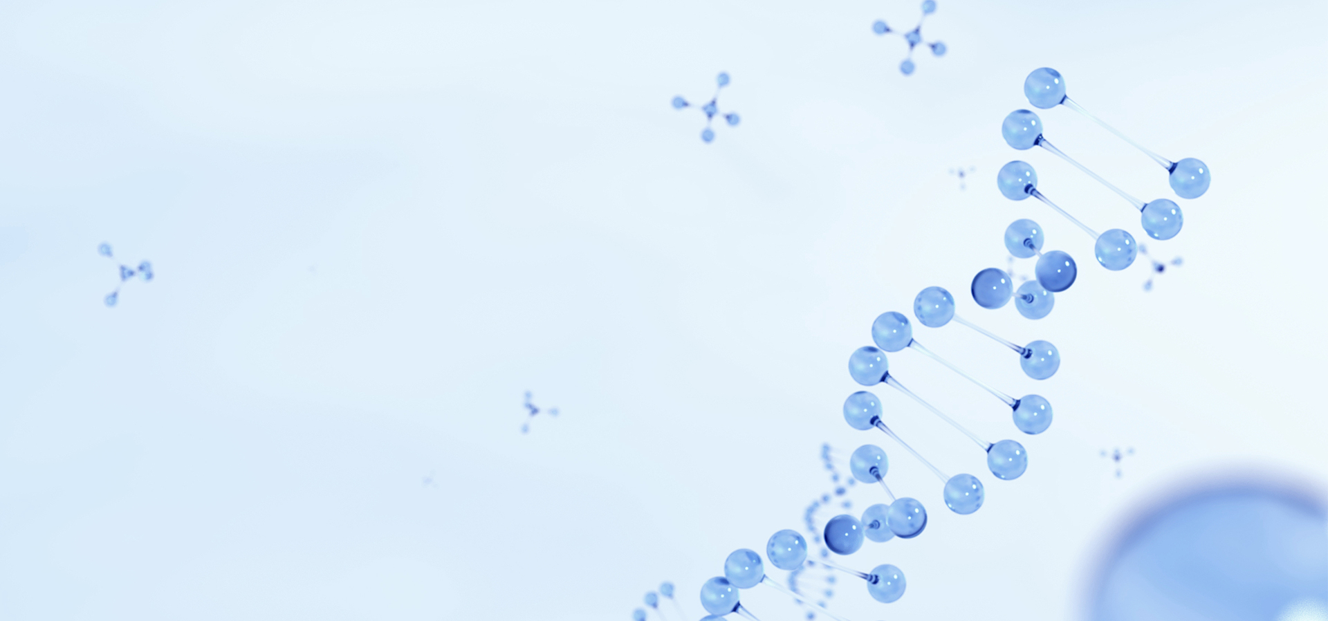 ÔÆ¶¥¹ú¼Ê¡¤(Öйú)Ψһ¹Ù·½ÍøÕ¾